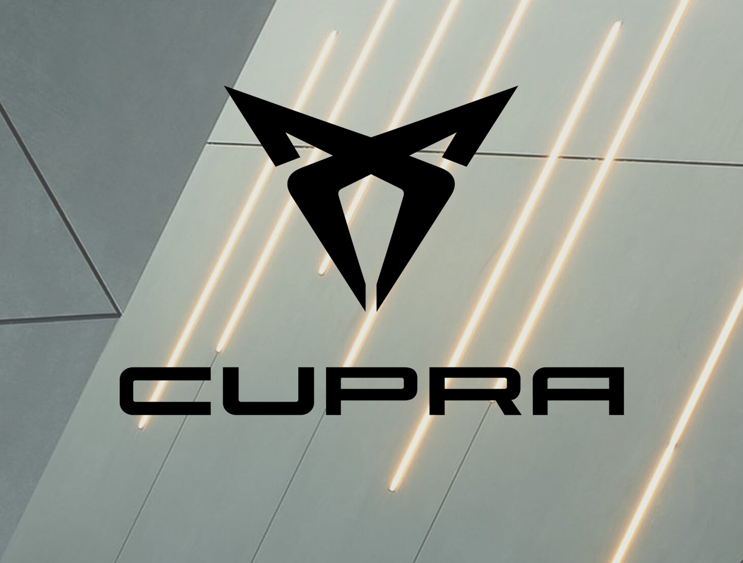 Kataloge Preislisten Wahlen Sie Ihr Cupra Modell Cupra