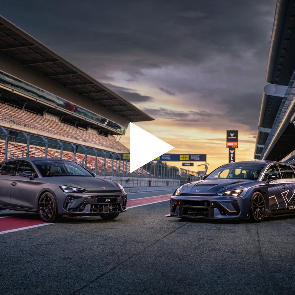 Leon VZ vs. Leon TCR
