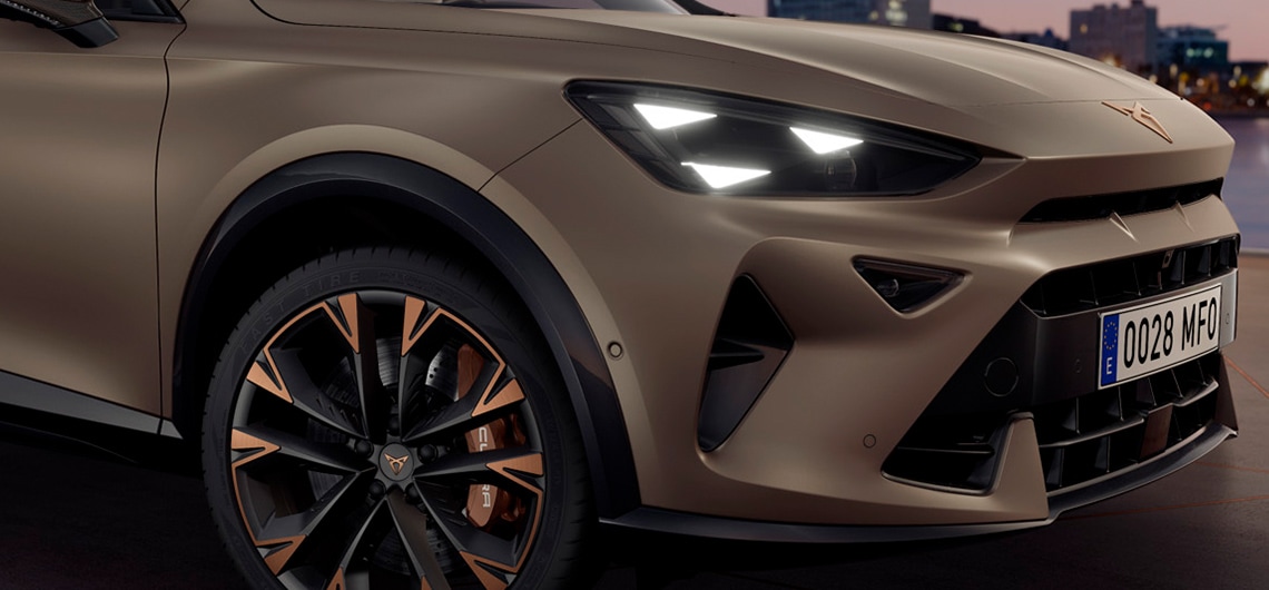 Cupra Formentor Licht Einstellen